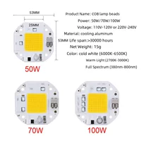 Высокая мощность 50W 70W 100W COB сварной драйвер - безводительному управлению лампа 220V 110VLED светодиодная гранула оптом