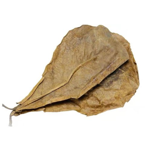 Crazy aquatic grass, olive leaf, betta fish, lazy leaf, fish tank, olive leaf, acid reducing, regulating ph value, olive leaf