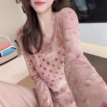 �n�沨�c�A�I�L��T��Ů2025�����¿�΢͸�OӋ�аٴ������������