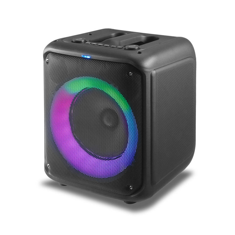 RX-P10X203新製品ダブル10インチ屋外室内ハイパワーbluetoothスピーカーDSPサラウンドスピーカー|undefined