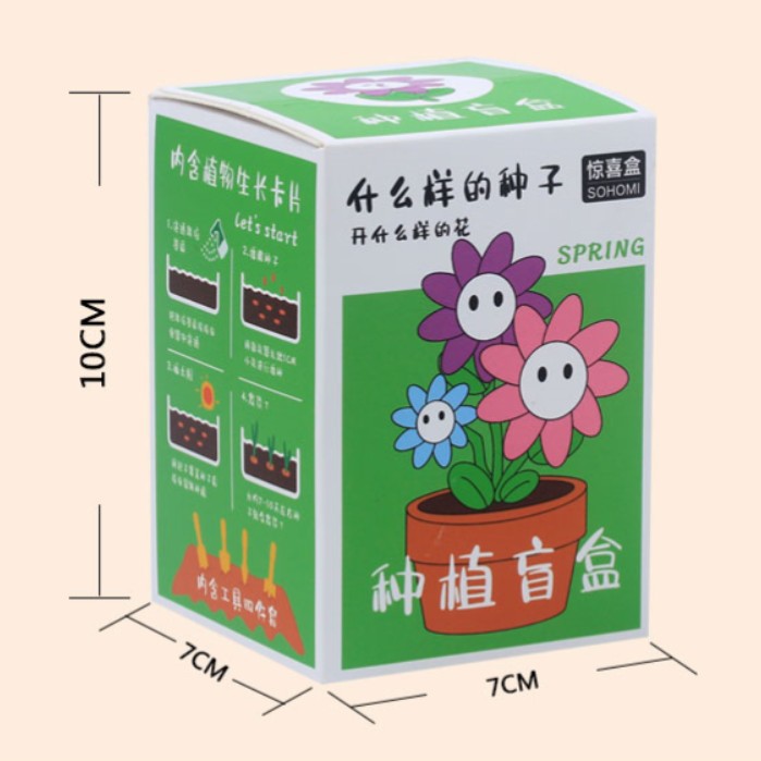 Creative Plant Blind Box Mini Potted Plants Children's Gift Seedlings 4