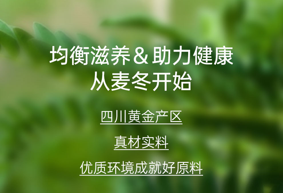 Dried Ophiopogon Root Mai Dong 260g Sichuan Herbal Tea for Autumn Winter Wellness quality and texture