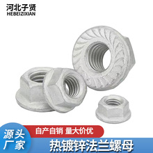 法兰螺母国标加厚热镀锌高强度8.8级带齿锁紧螺帽M8光伏法兰母