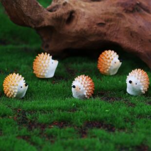 ��֬�ɐ۴��o��������Ʒ���DIY�������������h��耳׿۲���