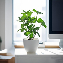 RdGֲԼҾӕ͏dsԼٻ辰l