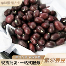 ɏSlψAܿ rԮaɳܿ sZɳܿraƷ