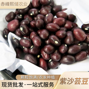 ���ɏS�����l�ψAܿ�� �r���Ԯa��ɳܿ�� ����s�Z��ɳܿ���r�aƷ