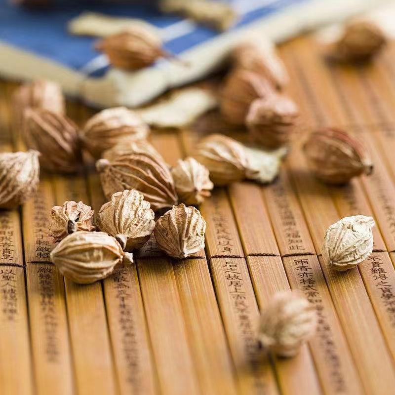 Amomum Fruit Sha Ren 500g Dried Sliced Herb for Braising Hotpot and Stewed Meat Cooking in use