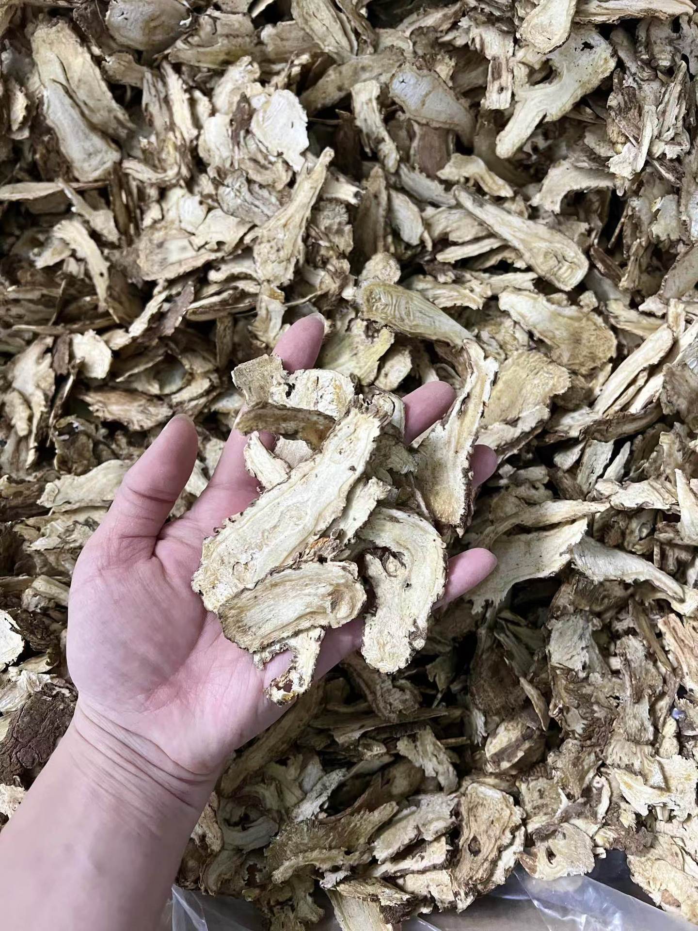 Dried Angelica Sinensis Root Slices Dang Gui Head Grade Gansu Minxian 500g quality and texture