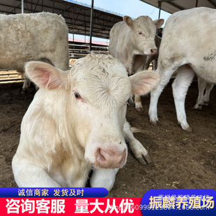 �����������Rţ С��ţ�ٵăr�������Sţ Сţ�����Xһ�^