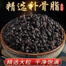 补骨脂黑故子补骨制补骨脂补骨脂茶胡韭破故纸另有韭菜籽菟丝子