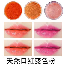 跨境1g口红变色粉diy免研磨植物色粉Lipstick进口原料