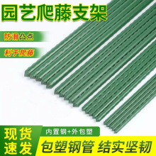 爬藤架四季豆架杆黄瓜豆角支撑杆蔬菜瓜棚搭棚架种菜花卉植物架子