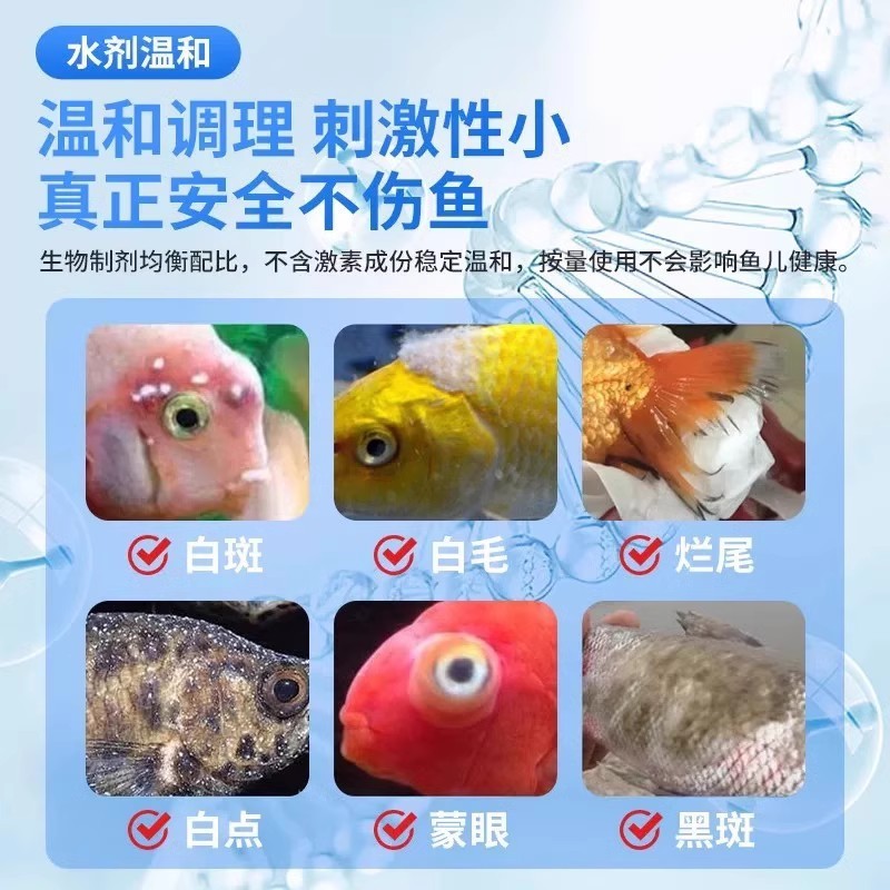 金魚・鯉の腐れ尾・腐れ尾・消毒用の青大ベリープラス、輸入専用腐れ身薬、病魚薬、水替え機|undefined