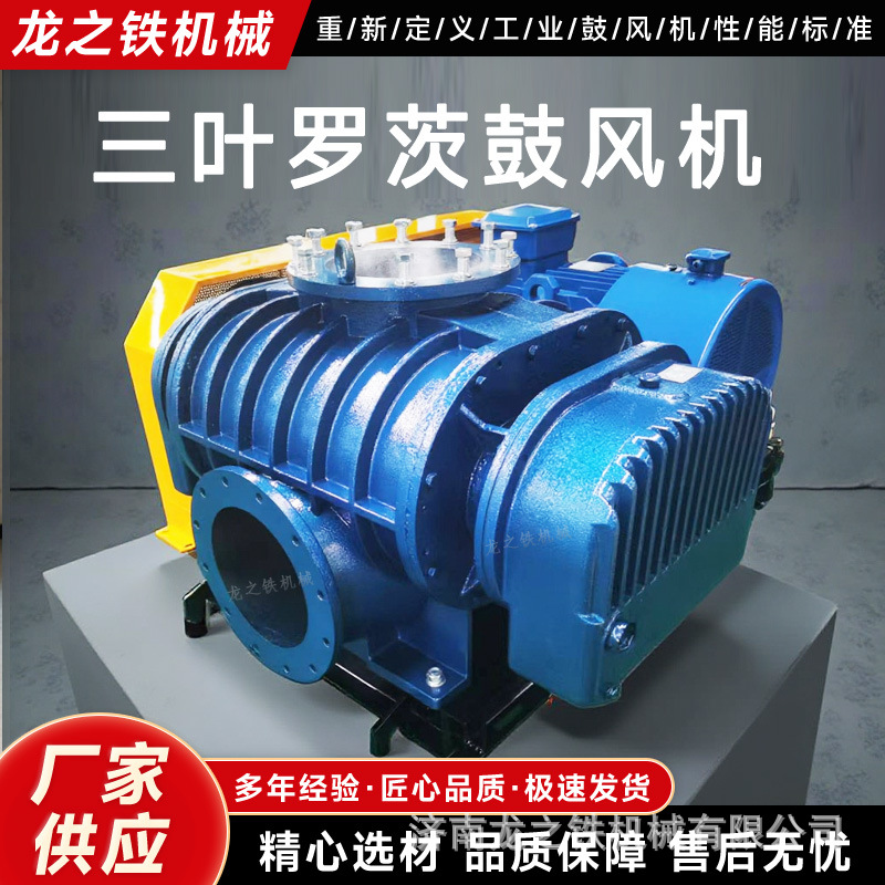 罗茨鼓风机SR250三叶节能型污水处理专用厂家现货支持试机