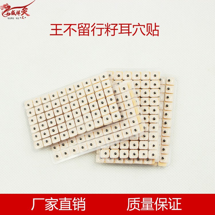 Auricular point paste Wang Buliuxing seed paste ear paste ear bean paste 600 grains of Wang Buzhu massage paste Auricular point Press paste