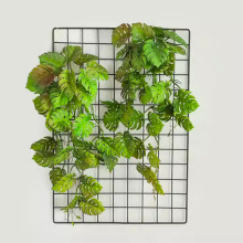 ����Gֲ�ڒ����������~�G�}����������ֲ��b��F؛