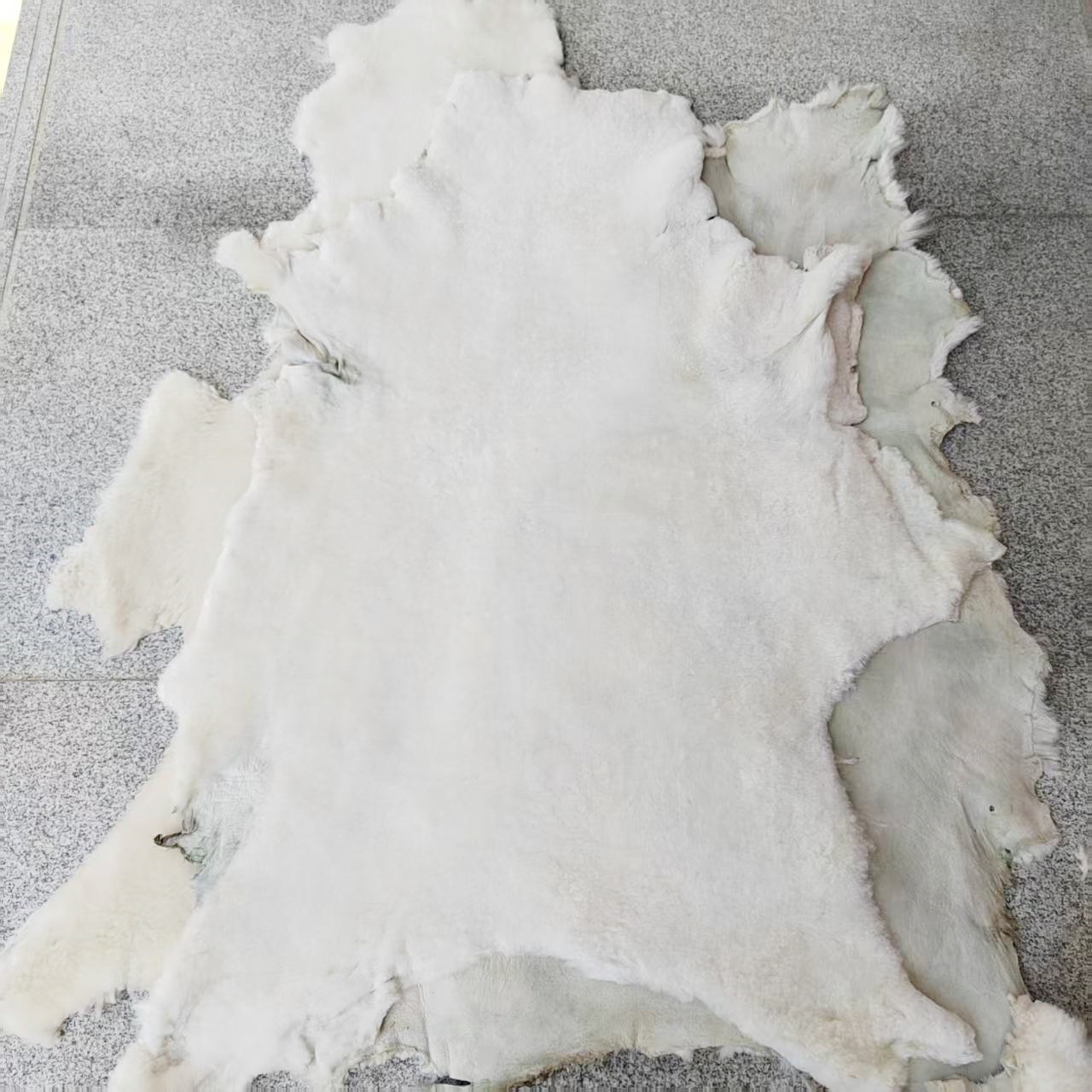 微信图片_20250617101037