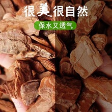 �ɘ�Ƥ���@���쾰���@ͥԺ���ؘ�Ѩ�b�ĥ���[��Ƥ�ЙC���w��