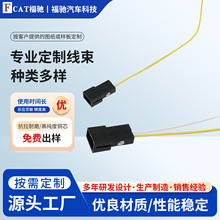 定制汽车氛围灯模组线束氛围灯延长线束汽车连接线电子线定制加工