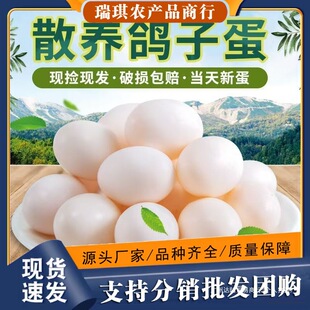 20ö�b���l�r���s�Zɢ�B���خa�������F؛�������ӵ�ʳ�ú��bϵ��