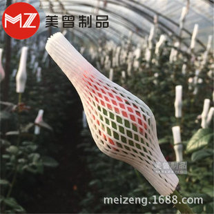 ��ĭ�޾W�����ӾW���u��õ�廨���b���o�W�׏S�����l