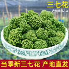 2024新三七花茶100克装 云南特产三七花 文山田七花 3-4年大朵花