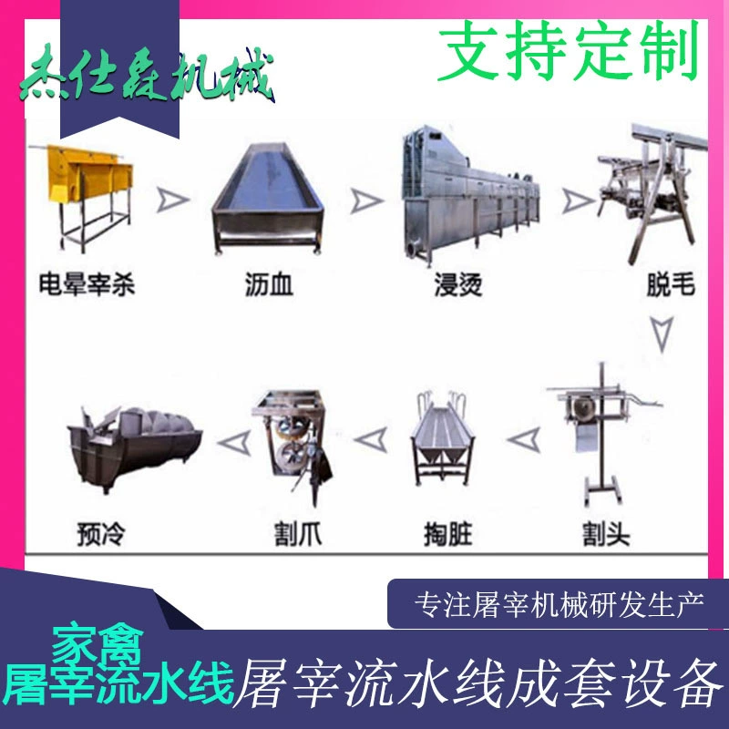 Крупные, малые и средние курицы, утки и гуся убоя полное оборудование из нержавеющей стали курица убийство машина автоматическая линия убоя голубей