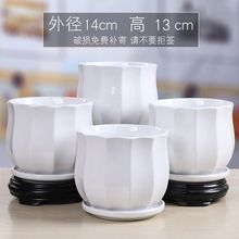 �մɻ����̖���бP���s��ɫ���ú����m�G�}������mС��S��ֱ�N