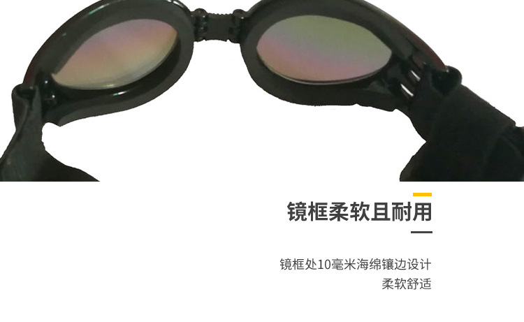 宠物眼镜
