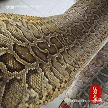 ƤƤ����Ƥ���������l�ü��ߺ������к�����Ƥ����������Ҳ����