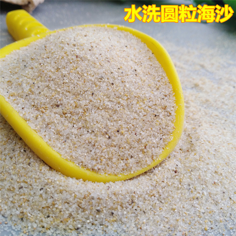 造景海沙排球场儿童沙池海砂30-50目水洗无尘沙沙滩填充白沙