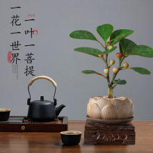 �U��С�����������ֲ���҃������ļ��͏d�^�~�k���ҾGֲ���B�辰