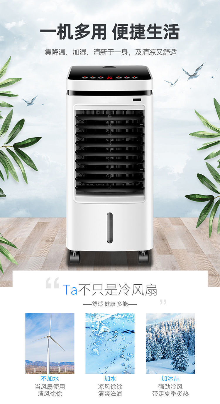 09bba2a6-c823-4907-a095-8b96f88c6980.jpe