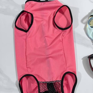 Golden Retriever Dog Physiological Pants for Medium and Large Dogs, Allows Female Dogs to Urinate, Prevents Harassment, Breathable for Medium and Large Dogs