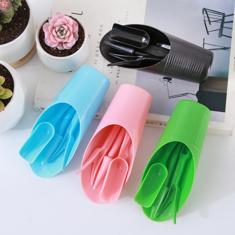 Set de herramientas de jardinería para suculentas y plantación