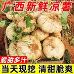 &广西新鲜凉薯现挖白心地瓜水果沙葛现挖豆薯番薯农家特产时令蔬