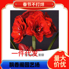 ���`��피t���m�M���ذ���피t�N������������^��ֲ�����Ի���