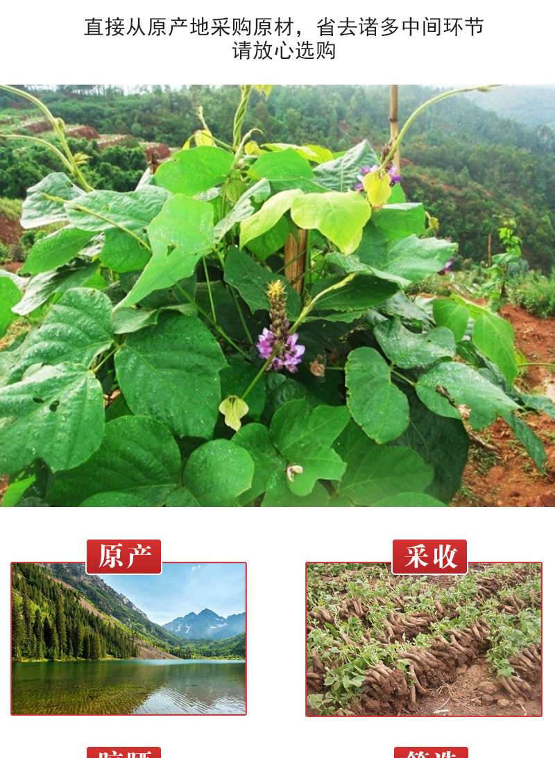 Kudzu Root Dices (Pueraria lobata) — Low-Temperature Baked Food Herb for Tea & Soup specifications