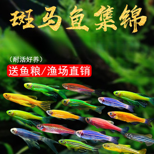 �Ꭷ�^�p�~�t�{���R�~С�ͽ��~���^�p�~������Ʒ��ȸ�t�G���ƻ��w