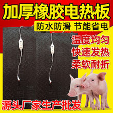 Դ^Saliz늟ӺzBֳȡůĸiz늟