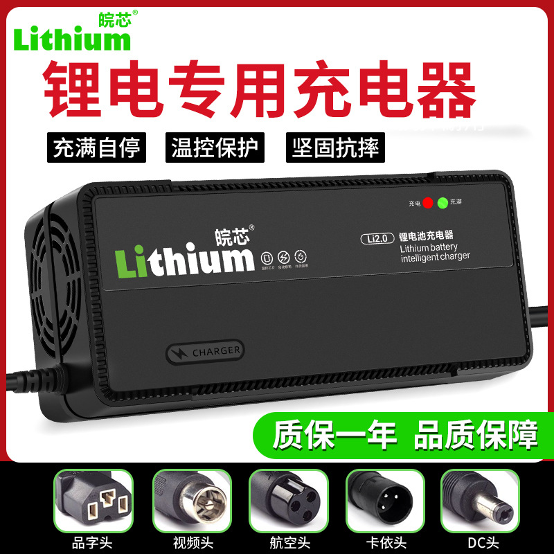 Lithium Battery Electric Vehicle Charger 48V8A54.6V58.4V58.8V Takeaway Two-Wheel Fast Charging Scooter Harley