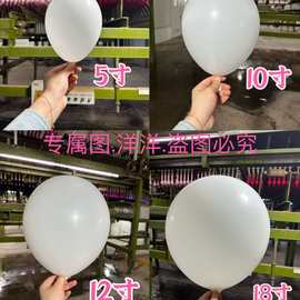 定制哑光白色气球5寸10寸12寸18寸花环拱形派对乳胶气球结婚生日