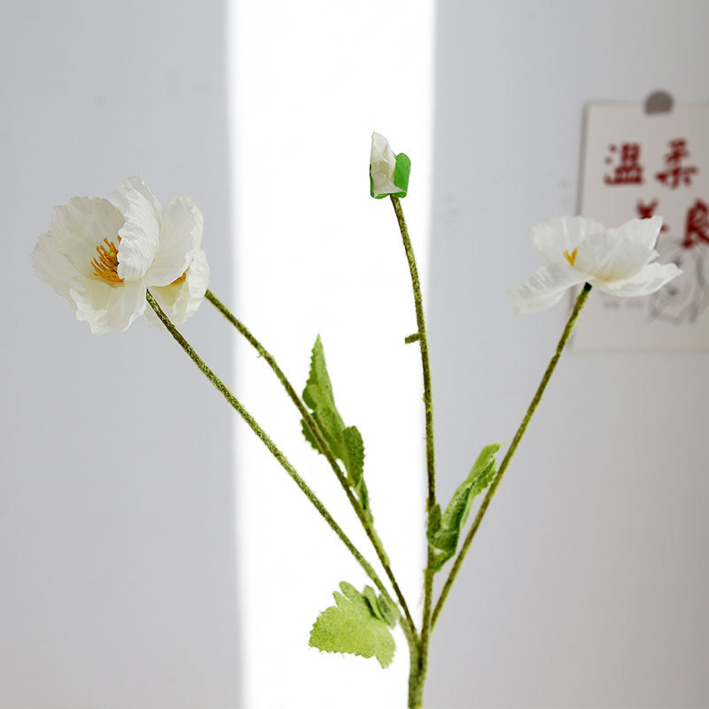 달빛 화이트