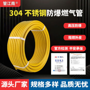 Customized 304 Stainless Steel Explosion-Proof Gas Pipe Household Pipeline Liquefied Gas Hose Water Heater Metal Connecting Pipe