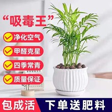 ɢβ������Ҭ�������ļ�������B���҃ȾGֲ�k����������С�辰