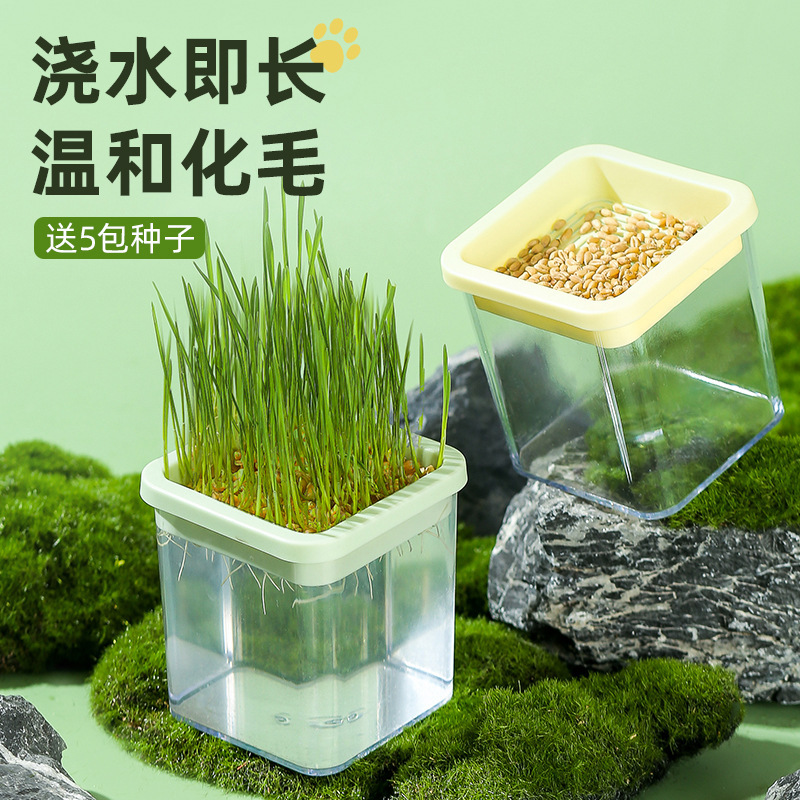 Original Lazy Cat Grass Cup Cat Snacks Potted Soilless Hydroponic Cat Mint Self-Sown Cat Grass Cultivation Supplies Original Lazy Cat Grass Cup Cat Snacks Potted Soilless Hydroponic Cat Mint Self-Sown Cat Grass Cultivation Supplies