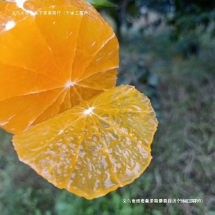 üɽ�خa����̖�������ք����rˮ���������]���r�Fժ�F�l����ُ