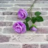 Yang Peony-Purple