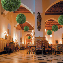 ��䁵�픾Gɫֲ��������m����ȼ����ٺ����ϲ��򻨻ܴ����[�Ż�